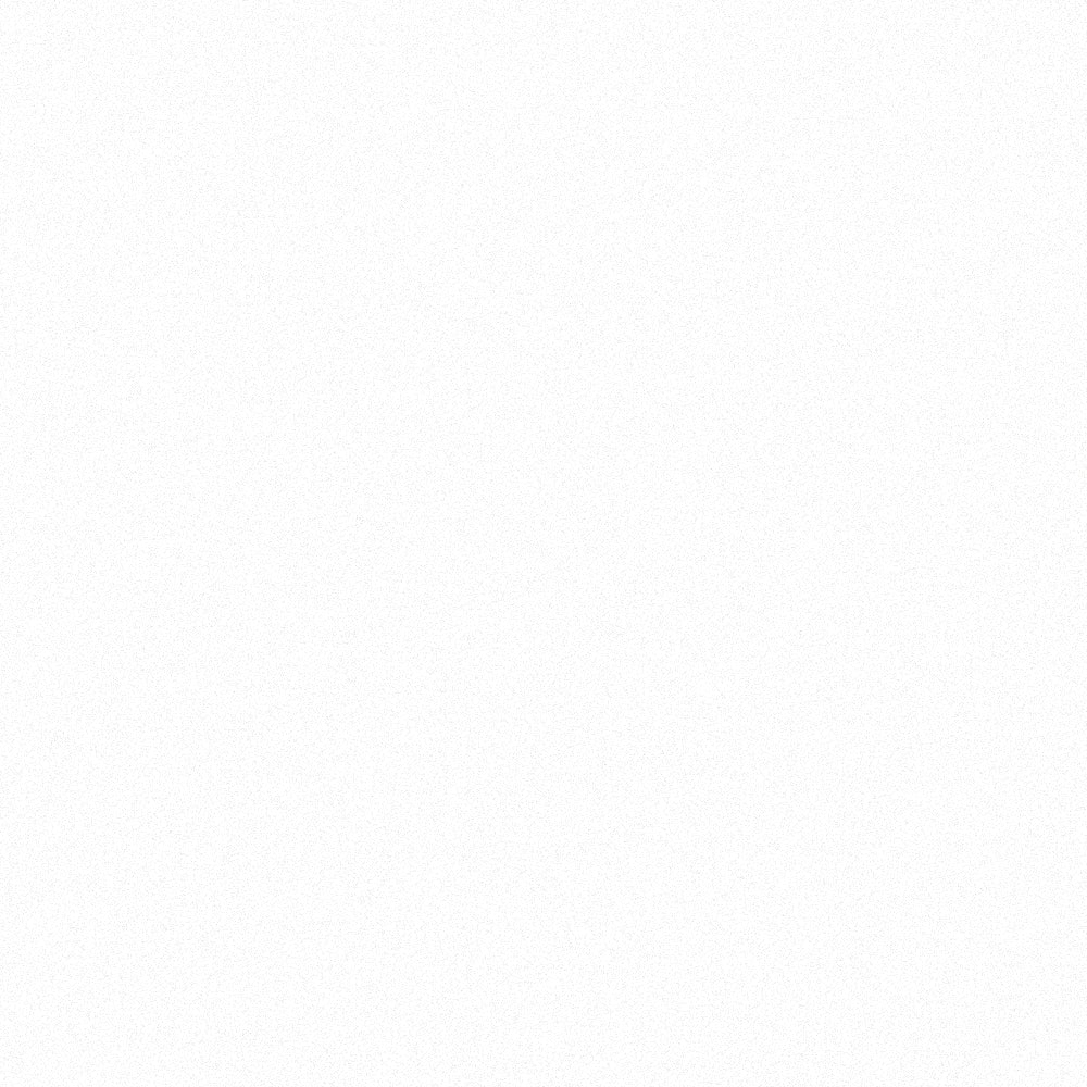 Lime Paint Undercoat